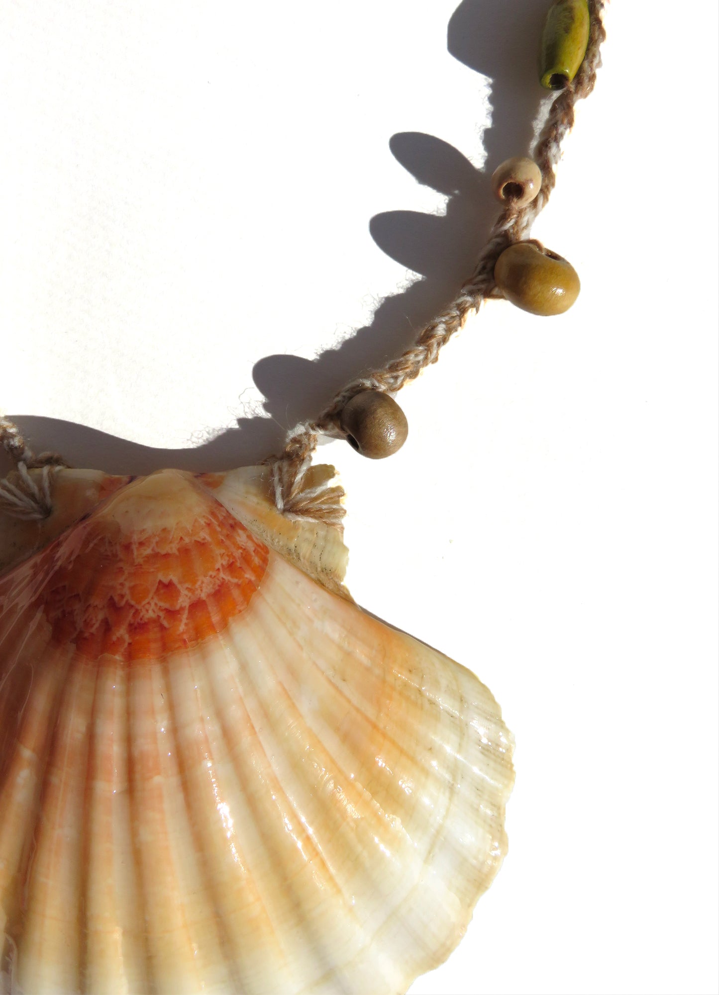 SEA TREASURE