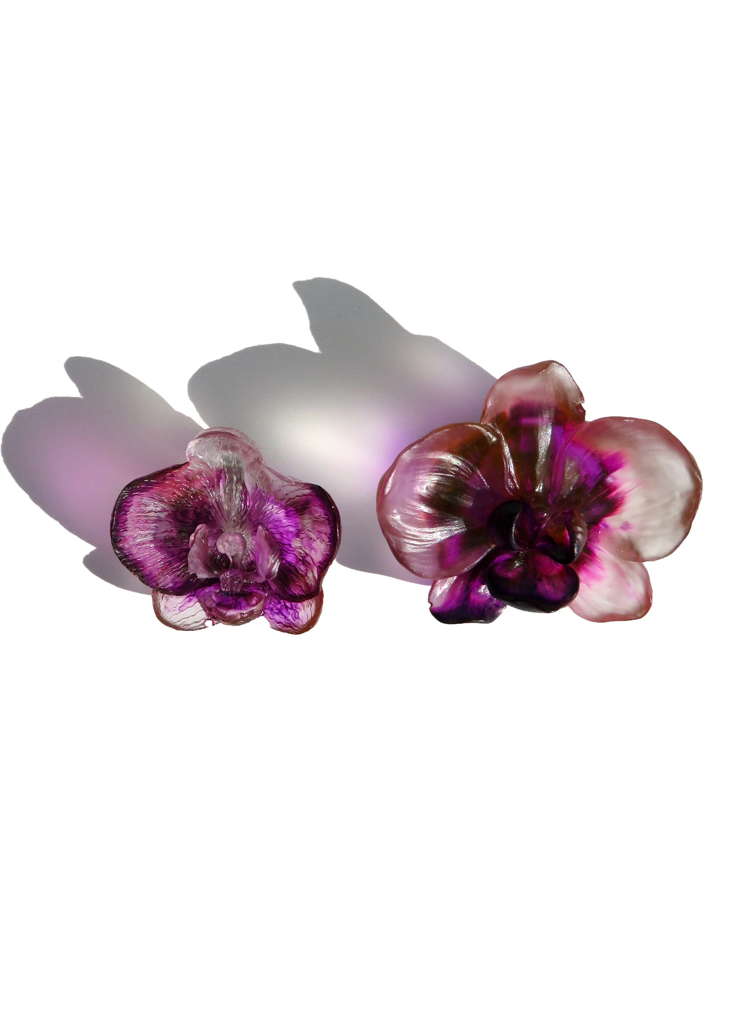 MAGIC ORCHIDÉE CLIP