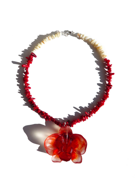 PASSION ORCHIDÉE