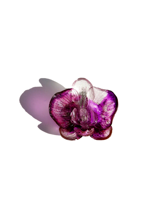 RARE LITTLE ORCHIDÉE CLIP